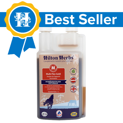 Hilton Herbs - Multi-Flex Gold 1 litre
