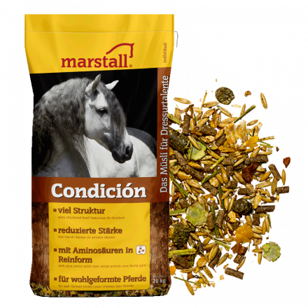 marstall - Condicion