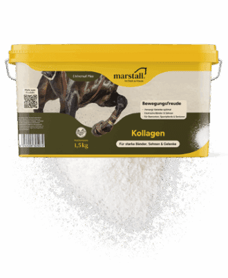 marstall - Collagène