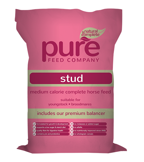 Pure Feed - Stud