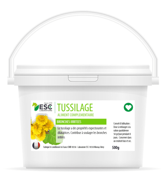 Tussilage