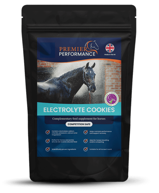 Electrolyte Cookies