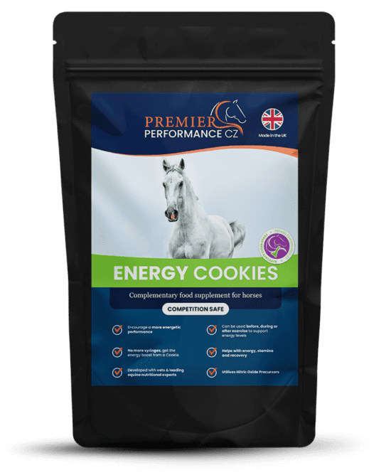 Energy Cookies