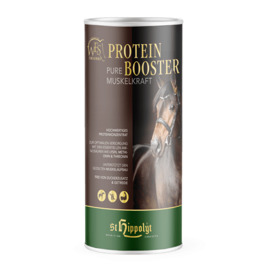 WES Protein Booster 0,750 kg Dose