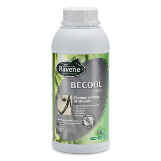 Becool 500ml